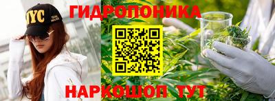 прущий лед Кудрово